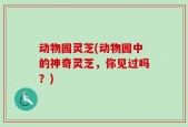 动物园灵芝(动物园中的神奇灵芝，你见过吗？)
