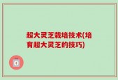 超大灵芝栽培技术(培育超大灵芝的技巧)