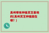 禹州哪有种植灵芝基地的(禹州灵芝种植园在哪？)