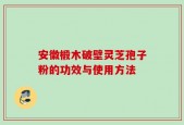 安徽椴木破壁灵芝孢子粉的功效与使用方法