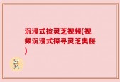 沉浸式捡灵芝视频(视频沉浸式探寻灵芝奥秘)