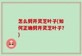 怎么劈开灵芝叶子(如何正确劈开灵芝叶子？)
