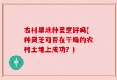 农村旱地种灵芝好吗(种灵芝可否在干燥的农村土地上成功？)