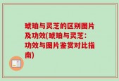 琥珀与灵芝的区别图片及功效(琥珀与灵芝：功效与图片鉴赏对比指南)