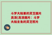 斗罗大陆里的灵芝图片高清(高清图片：斗罗大陆主角的灵芝照片