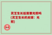 灵芝生长后需要光照吗(灵芝生长的关键：光照)