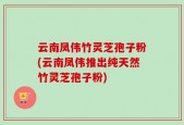 云南凤伟竹灵芝孢子粉(云南凤伟推出纯天然竹灵芝孢子粉)
