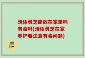 活体灵芝能放在家里吗有毒吗(活体灵芝在家养护要注意有毒问题)