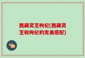 西藏灵芝枸杞(西藏灵芝和枸杞的完美搭配)