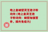 地上皇破壁灵芝孢子粉功效 (地上皇灵芝孢子粉功效：破壁加强营养，提升免疫力)
