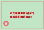 灵芝皇胶囊照片(灵芝皇胶囊的图片展示)