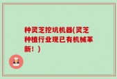 种灵芝挖坑机器(灵芝种植行业现已有机械革新！)