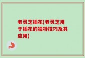 老灵芝插花(老灵芝用于插花的独特技巧及其应用)
