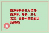 西洋参丹参三七灵芝(西洋参、丹参、三七、灵芝：四种中草药的功效解析)