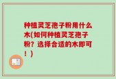 种植灵芝孢子粉用什么木(如何种植灵芝孢子粉？选择合适的木即可！)