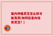 屋内种植灵芝怎么样才能发芽(如何在室内培育灵芝？)