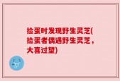 捡蛋时发现野生灵芝(捡蛋者偶遇野生灵芝，大喜过望)