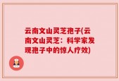 云南文山灵芝孢子(云南文山灵芝：科学家发现孢子中的惊人疗效)