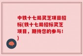 中铁十七局灵芝项目招标(铁十七局招标灵芝项目，期待您的参与！)