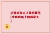丈母娘在山上找到灵芝(丈母娘山上偶遇灵芝)