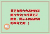 灵芝有哪六大品种的花图片大全(六种灵芝花图鉴，揭示不同品种间的神奇之美！)