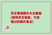灵芝香烟图片大全集图(细观灵芝香烟，不容错过的图片集合)