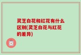 灵芝白花和红花有什么区别(灵芝白花与红花的差异)