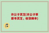 许公子灵芝(许公子草原寻灵芝，收获颇丰)