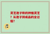 灵芝孢子粉的种植灵芝？从孢子到成品的全过程？