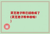 灵芝孢子粉已经收成了(灵芝孢子粉丰收啦！)