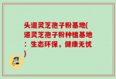 头道灵芝孢子粉基地(道灵芝孢子粉种植基地：生态环保，健康无忧)