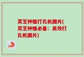 灵芝种植打孔机图片(灵芝种植必备：高效打孔机图片)