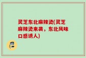 灵芝东北麻辣烫(灵芝麻辣烫来袭，东北风味口感诱人)