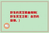 野生的灵芝歌曲视频(野生灵芝之歌：自然的旋律。)