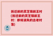 拆迁前的灵芝镇前王村(拆迁前的灵芝镇前王村：即将消失的古老村落)