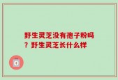 野生灵芝没有孢子粉吗？野生灵芝长什么样