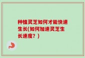 种植灵芝如何才能快速生长(如何加速灵芝生长速度？)