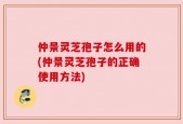 仲景灵芝孢子怎么用的(仲景灵芝孢子的正确使用方法)
