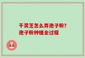 干灵芝怎么弄孢子粉？孢子粉种植全过程