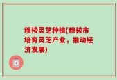 穆棱灵芝种植(穆棱市培育灵芝产业，推动经济发展)