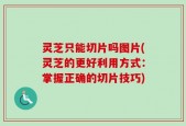 灵芝只能切片吗图片(灵芝的更好利用方式：掌握正确的切片技巧)