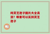 纯灵芝孢子图片大全高清？哪里可以买到灵芝孢子