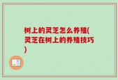 树上的灵芝怎么养殖(灵芝在树上的养殖技巧)