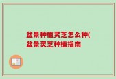 盆景种植灵芝怎么种(盆景灵芝种植指南
