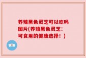 养殖黑色灵芝可以吃吗图片(养殖黑色灵芝：可食用的健康选择！)