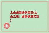 上山卤蛋遇到灵芝(上山之旅：卤蛋偶遇灵芝)