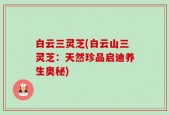 白云三灵芝(白云山三灵芝：天然珍品启迪养生奥秘)