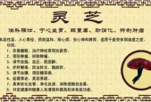 幸福来牌是正规厂家吗？什么牌子的灵芝孢子粉好？