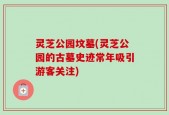 灵芝公园坟墓(灵芝公园的古墓史迹常年吸引游客关注)