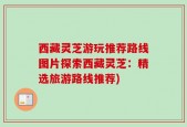 西藏灵芝游玩推荐路线图片探索西藏灵芝：精选旅游路线推荐)